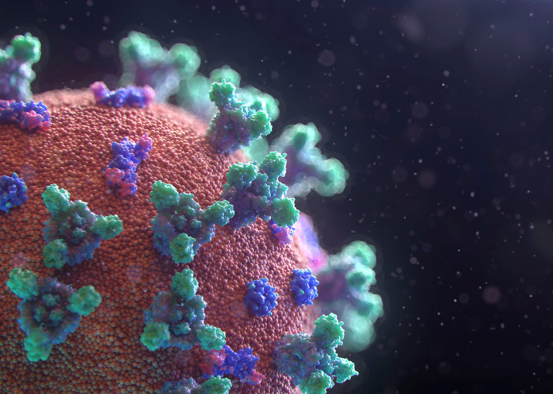 Does Covid-19 Attack your Heart?